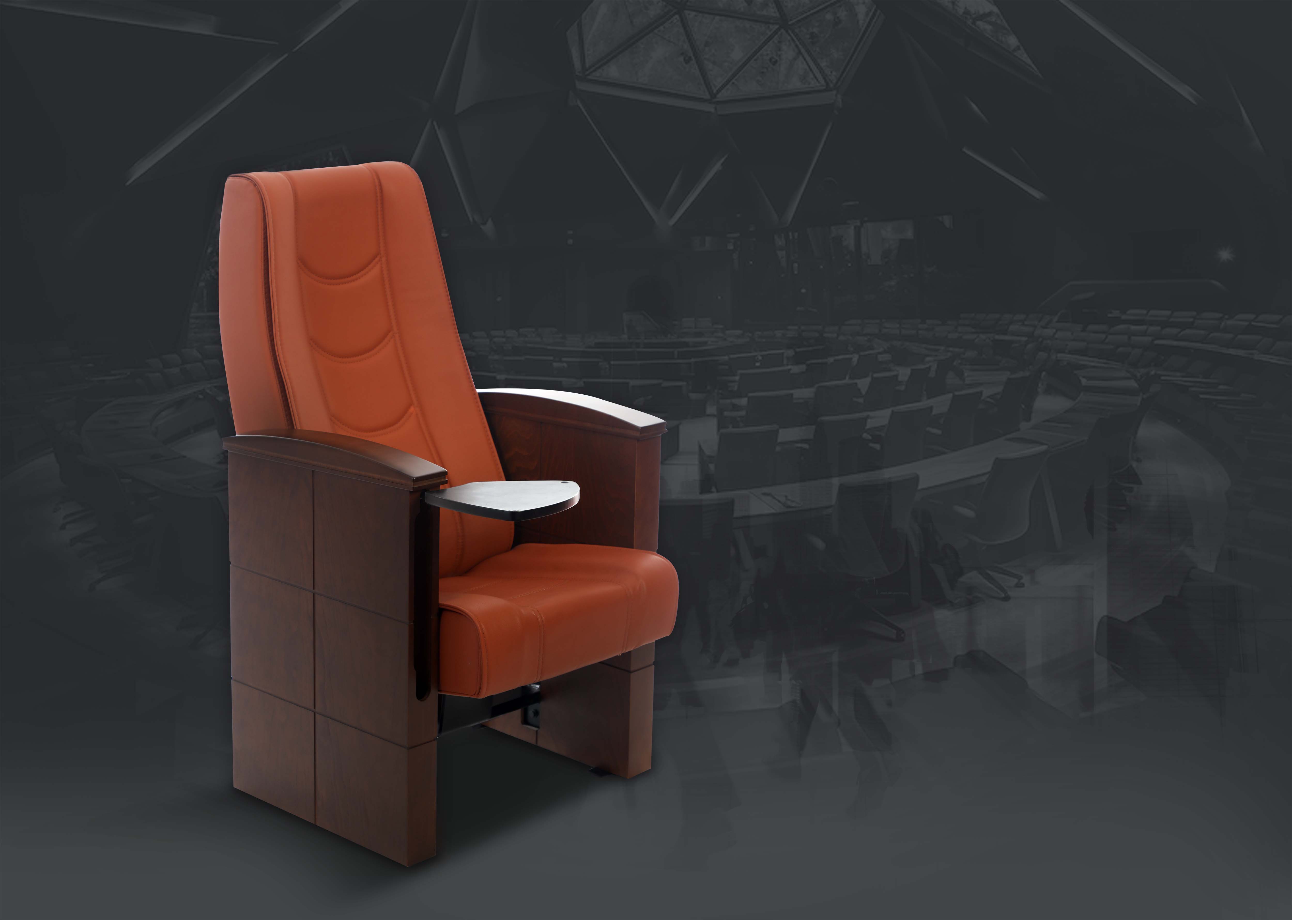 Auditorium Seating Image